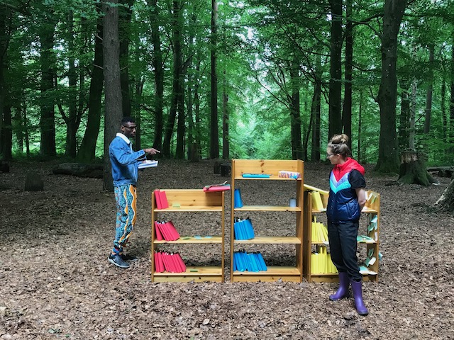 Two participants at the regenerative design lab stand in front of three bookcases situated in a forest clearing. The books on the left bookcase are red, in the middle are blue and on the bookcase on the right they are yellow. The different colours represent H1, H2 and H3 respectively in the Three Horizons model