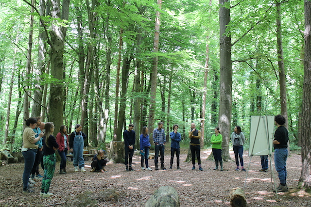 A group of people stand within the canopy of a beech tree