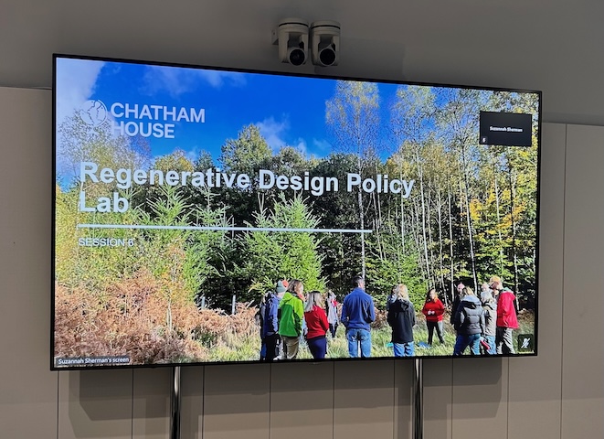 Designing experiments in policy change – lessons from RDL Cohort 4 Session 6 hosted at Chatham House