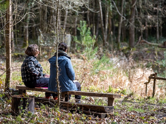 Two people sit on a bench near a pond in a wood, to emphasise the importance of connecting with ecosystems